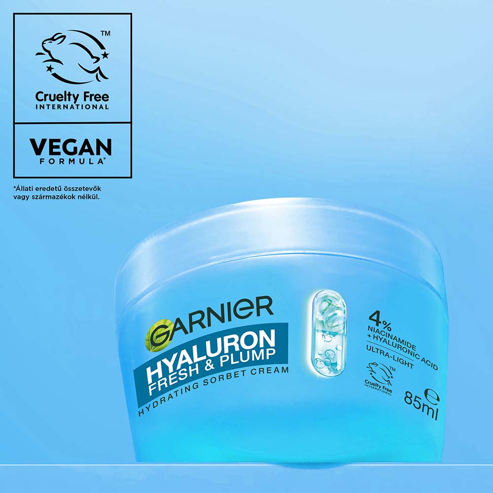 Garnier Sorbet Hyaluron_3 Garnier Sorbet Hyaluron_3